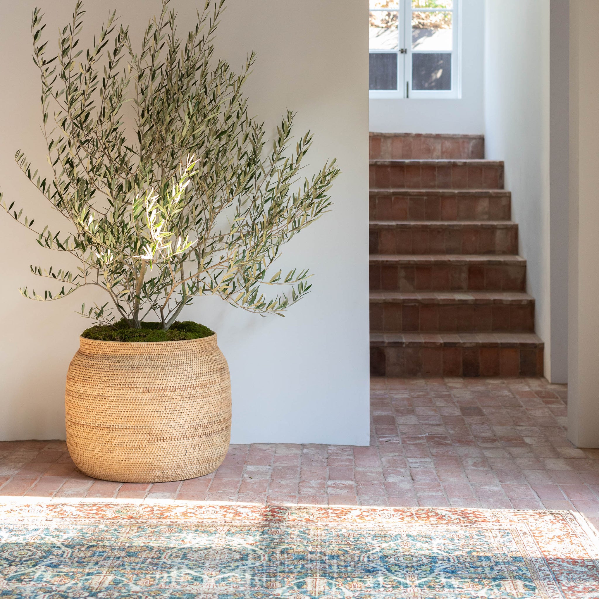 modern organic foyer